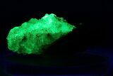 Extremely Fluorescent Botryoidal Hyalite Opal - Nambia #283800-1